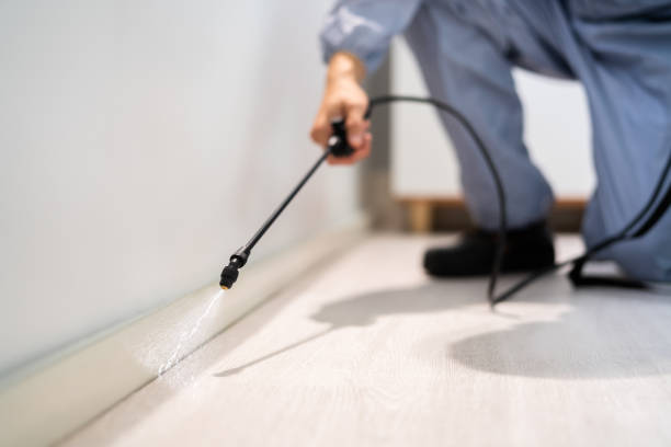 Licensed Fumigation Services service in Greer County County, OK - Nex Pest Control